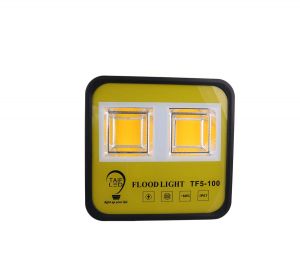 FLOOD LIGHT 120⁰ 100W